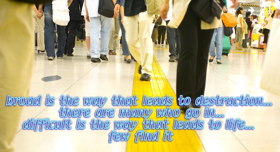 “How do you respond when someone says, ‘Well, no one is perfect’?”