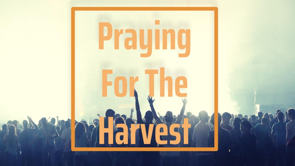#1 Praying For The Harvest: Pray The Prayers God Burdens You With (Audio/Video)
